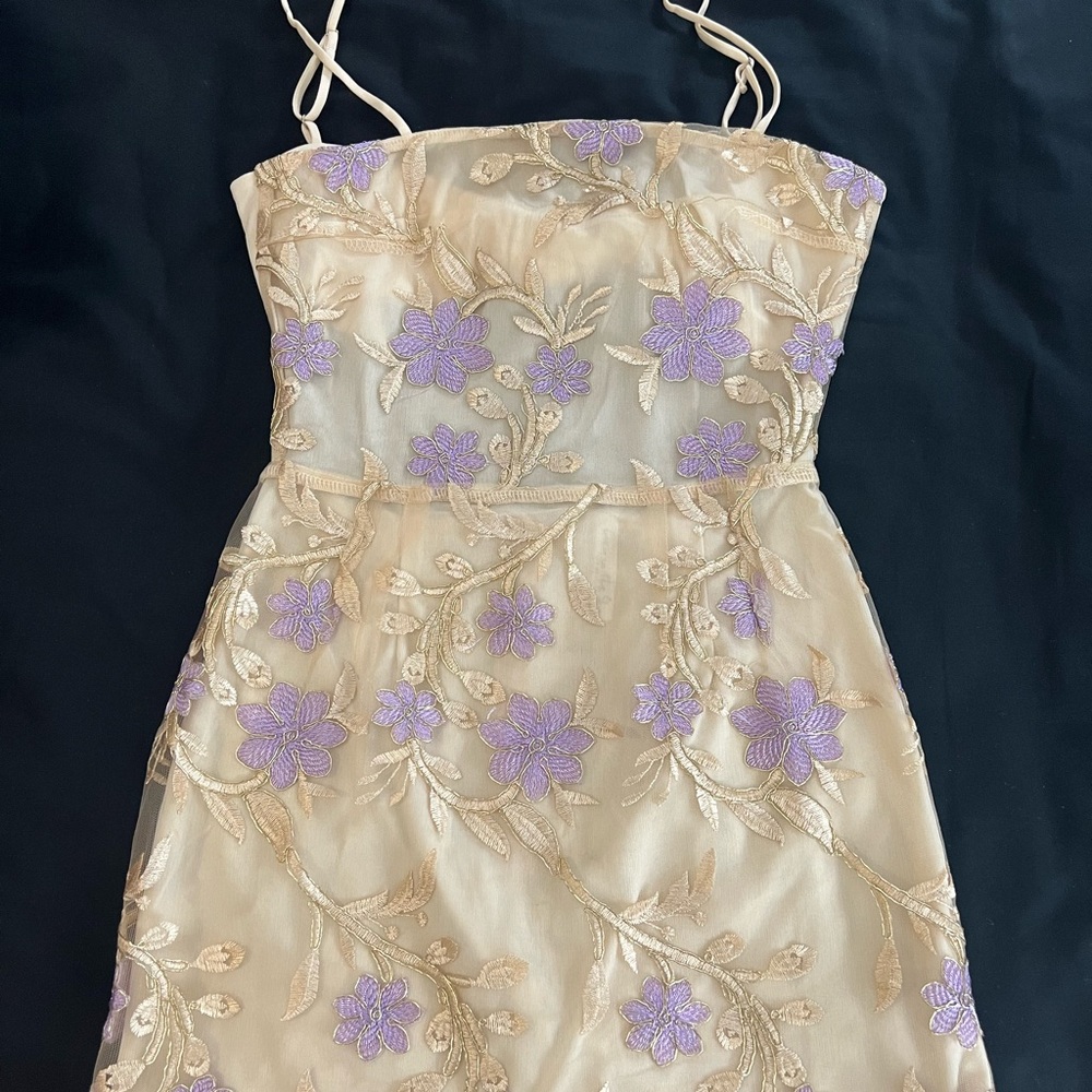 Lucy in the sky mini dress